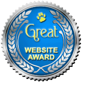 Website Award 